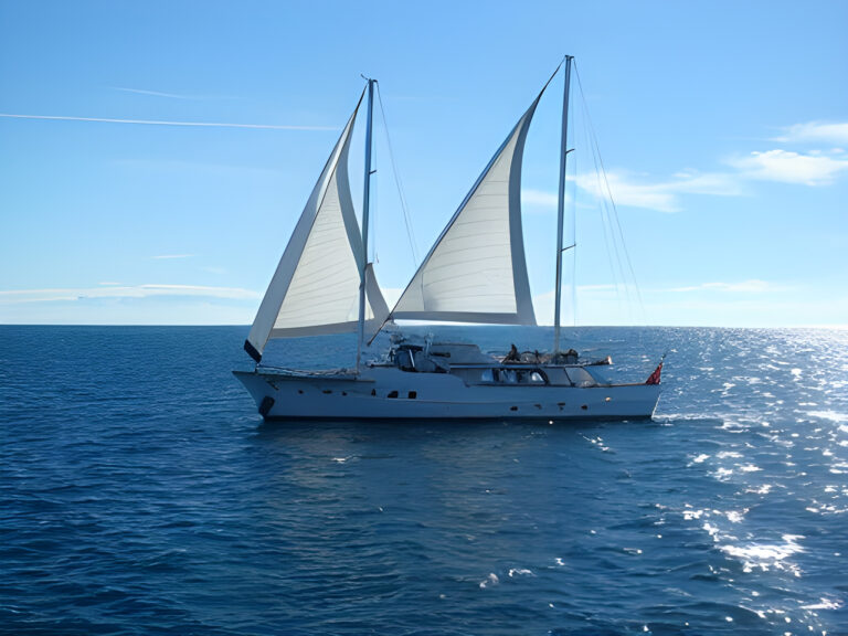 Van Voorten Columbus of Lymington