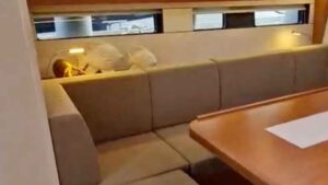 Hanse 460 for sale 2023 - photo 18