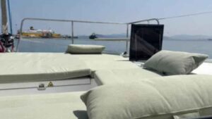 Bali CATSMART For Sale 2025 - photo 5