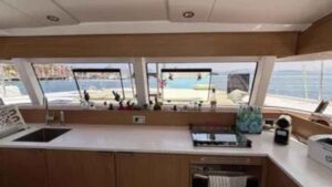 Bali CATSMART For Sale 2025 - photo 7