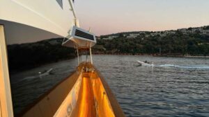 Heesen Pleasure Vessel for sale 1985 - photo 12