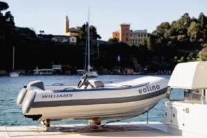 EOLINO