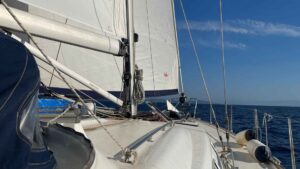 Bavaria 50 Cruiser for sale 2008 - photo 6