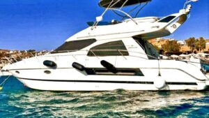 Cranchi Atlantiquue 42 For Sale 2002 - photo 2