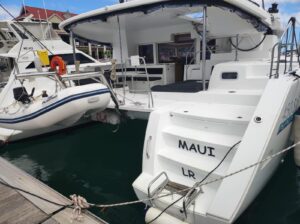 2016 Lagoon 450 Sport catamaran for sale - Cockpit image 3