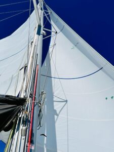 2017 Lagoon 450 Sport catamaran for sale - Sail