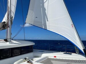2017 Lagoon 450 Sport catamaran for sale - Jib 2