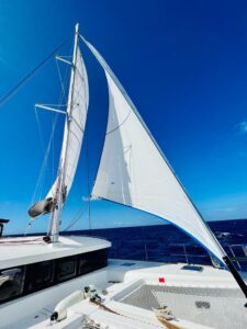 2017 Lagoon 450 Sport catamaran for sale - Jib