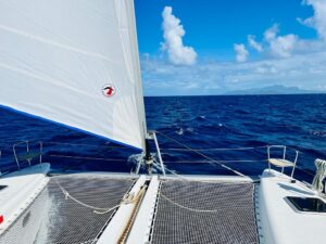 2017 Lagoon 450 Sport catamaran for sale - Front Net
