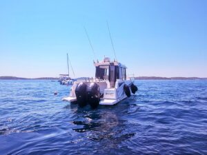 2020 Barracuda 8 motor yacht for sale - photo 18