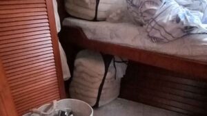 Zuanelli Z49 for sale 1999