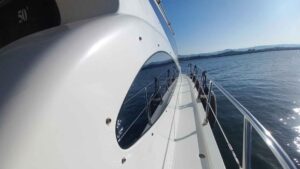 Dellapasqua DC 14 Elite for sale 2008